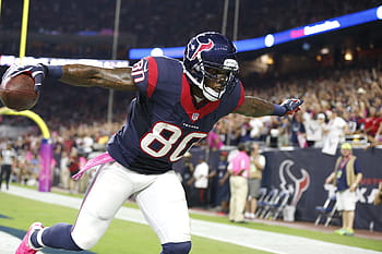 Forza 3 Texans 5, johnson, andre johnson, texans, forza 3, forza, houston  texans HD wallpaper