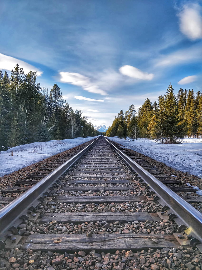 Railway Track Backgrounds, railway forest mobile HD phone wallpaper
