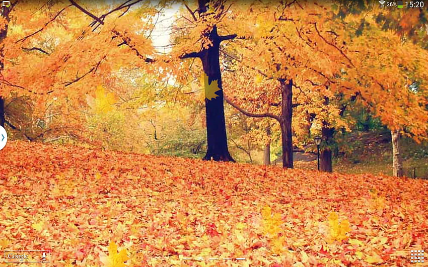 Autumn Live for Android, autumn survival HD wallpaper