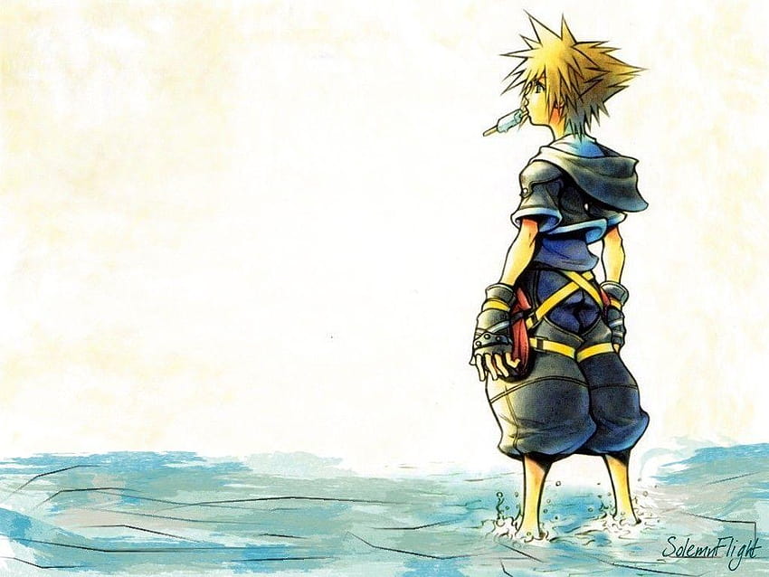 Kingdom Hearts Sora ความละเอียดคุณสูง « ยาวไปเลย โซระ Kingdom Hearts วอลล์เปเปอร์ HD