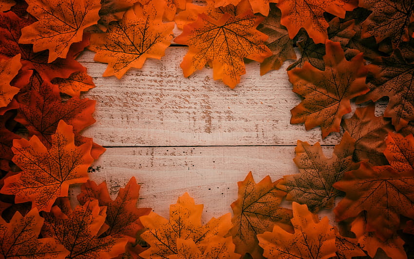 yellow autumn leaves, wooden background, autumn concepts, frame from autumn leaves with resolution 2880x1800. High Quality, autumn frame HD wallpaper