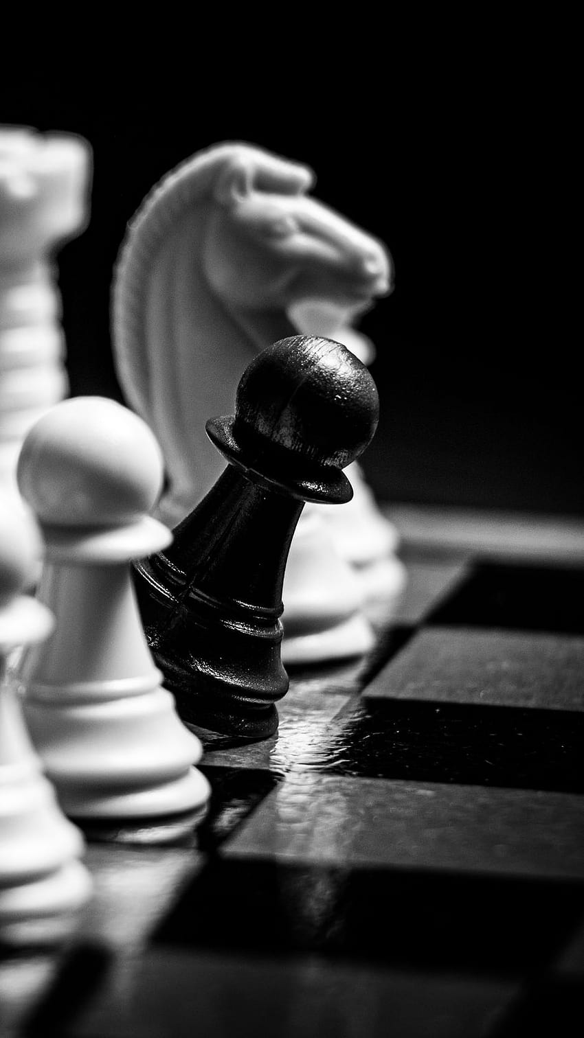 Wallpaper macro, horse, the game, chess, Board, figure, black background,  king for mobile and desktop, section разное, resolution 1920x1080 - download