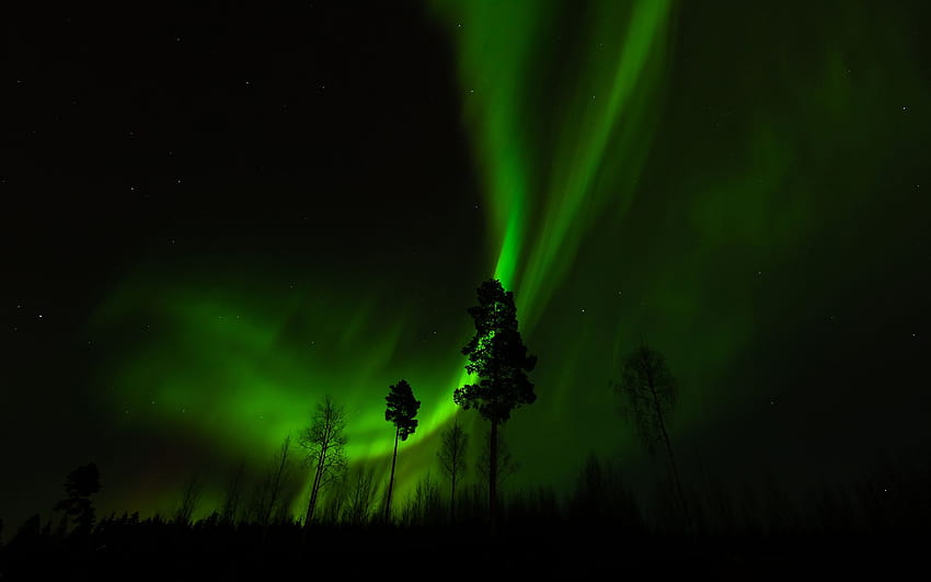 Aurora Borealis Northern Lights Night Green Trees Stars sky landscapes, green sky HD wallpaper