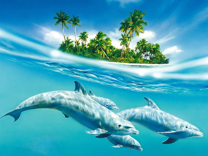 Dolphin Animasi, latar belakang lumba-lumba Wallpaper HD