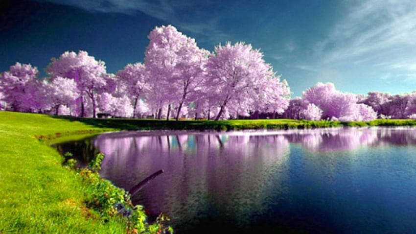 8 Amazing Reasons to Get Out And Enjoy Spring, waiting for spring HD wallpaper