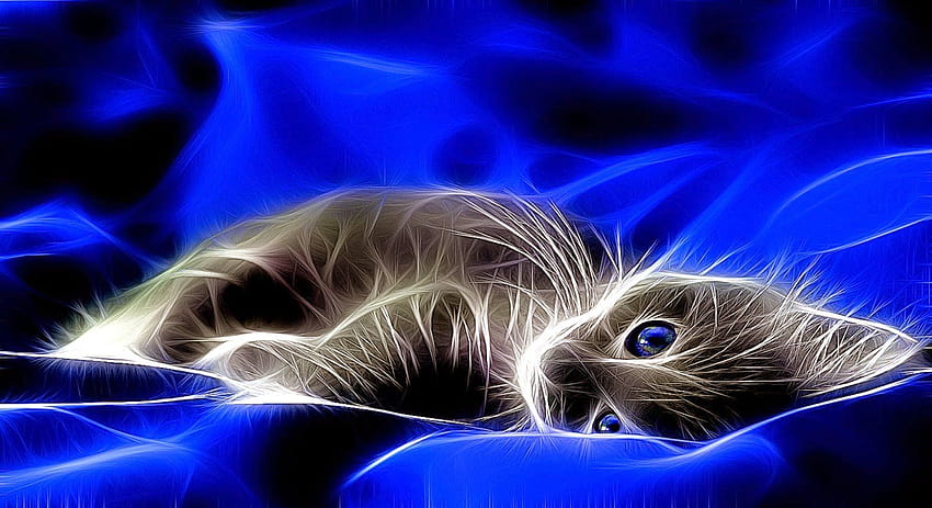 5 つの 3D 動く猫、周囲に照明のある猫 高画質の壁紙