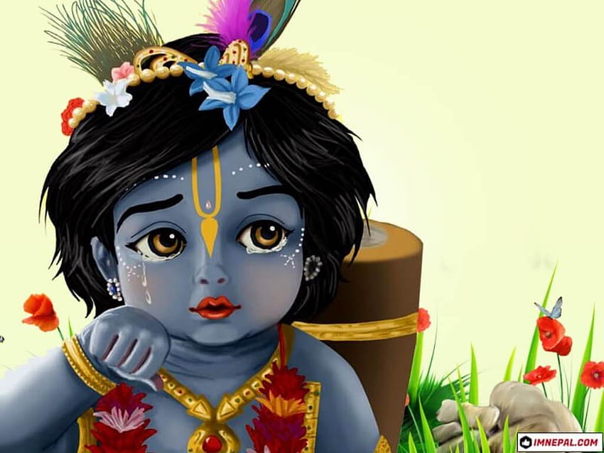 Lord Krishna, child krishna HD wallpaper