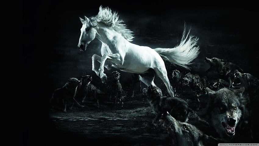 Horse and Wolves ❤ for Ultra TV, running wolf HD wallpaper
