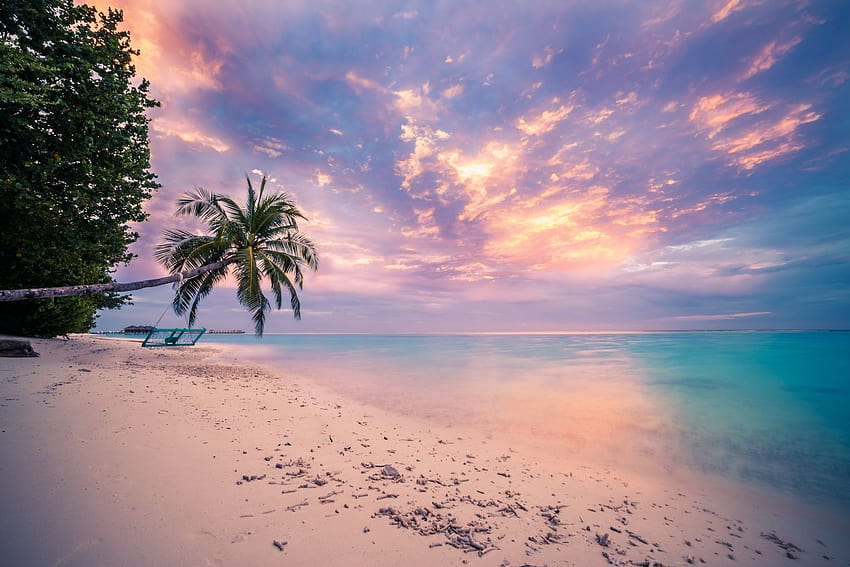 Beach Tropical Ocean Sea Palm Tree Sunset Horizon, summer outside HD wallpaper