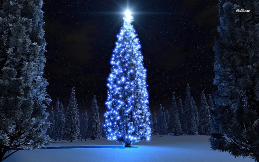 Christmas tree lights, blue and white christmas tree HD wallpaper | Pxfuel