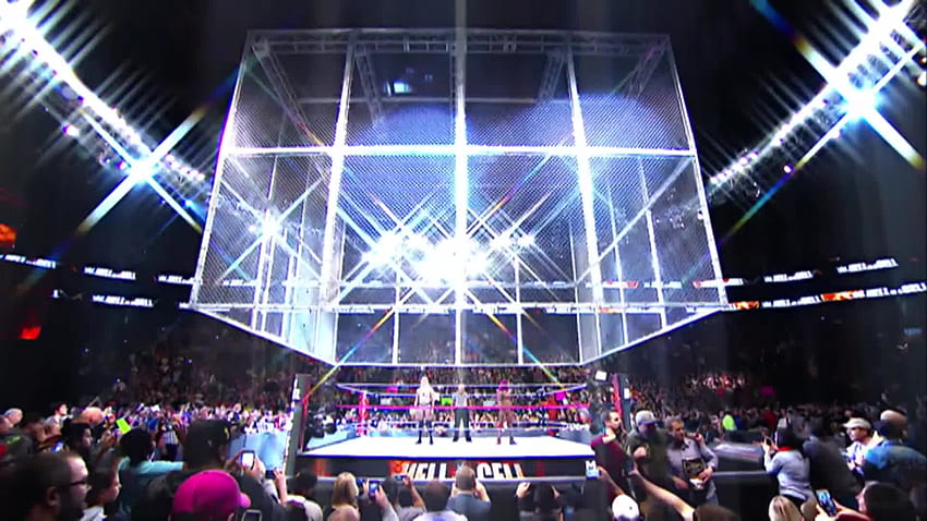 The Eternal Optimist Presents: Hell in a Cell изглежда като ад, wwe hell in a cell HD тапет