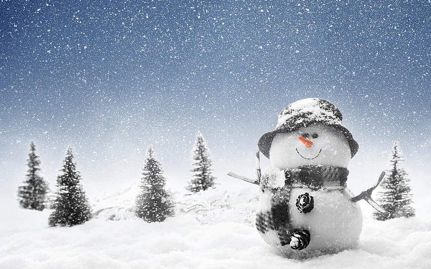 cool winter snowman, winter real snowmen HD wallpaper