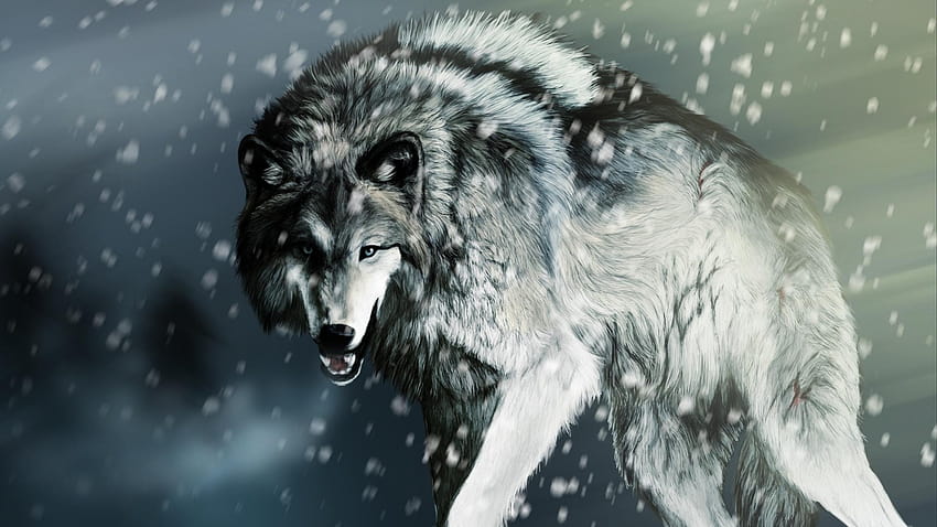 Wolf grauer Wolf laufender grauer Wolf knurrender grauer Wolf [1920x1080] für Ihr , Handy & Tablet, graue Wölfe HD-Hintergrundbild