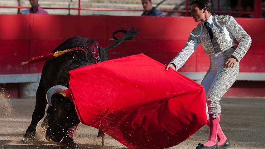 Bullfighters Spain HD wallpaper