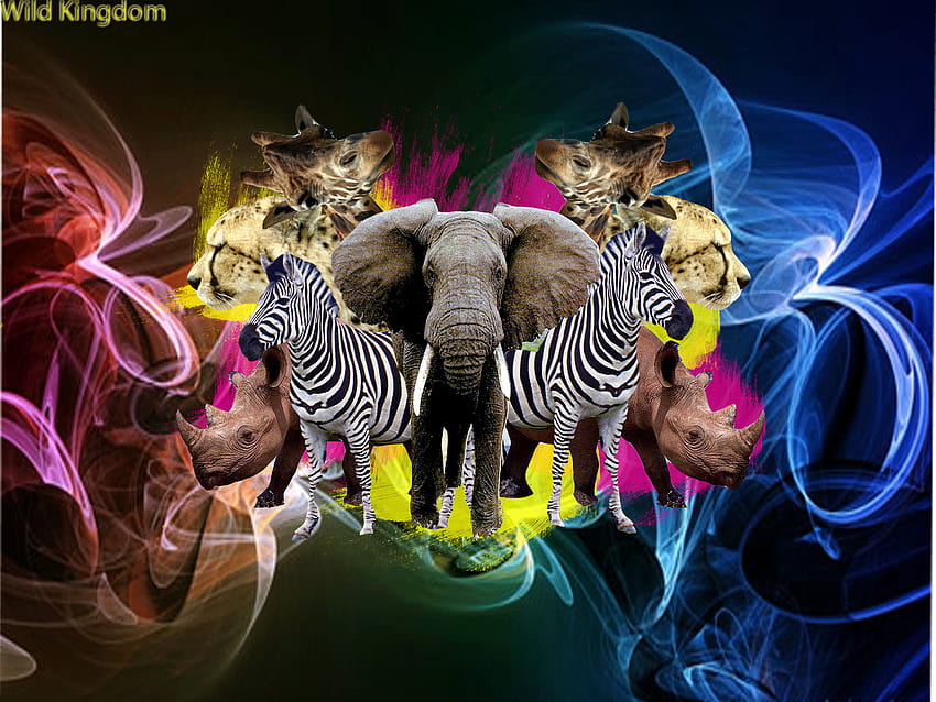 Wild animals collage HD wallpapers | Pxfuel