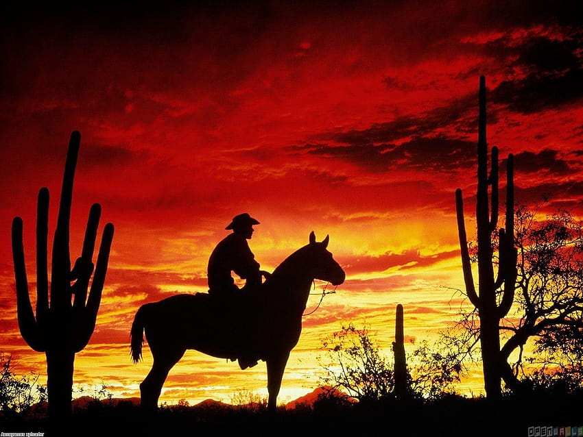 Cowboy Sunset, western cowboy HD wallpaper