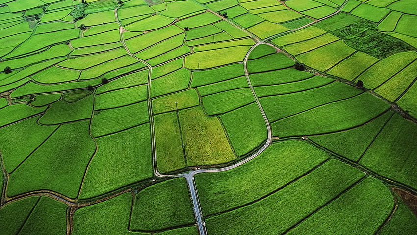 Agricultura, Tierra agrícola, Campo, Vista aérea, Verde, Paisaje, OS X Mountain Lion, Naturaleza fondo de pantalla