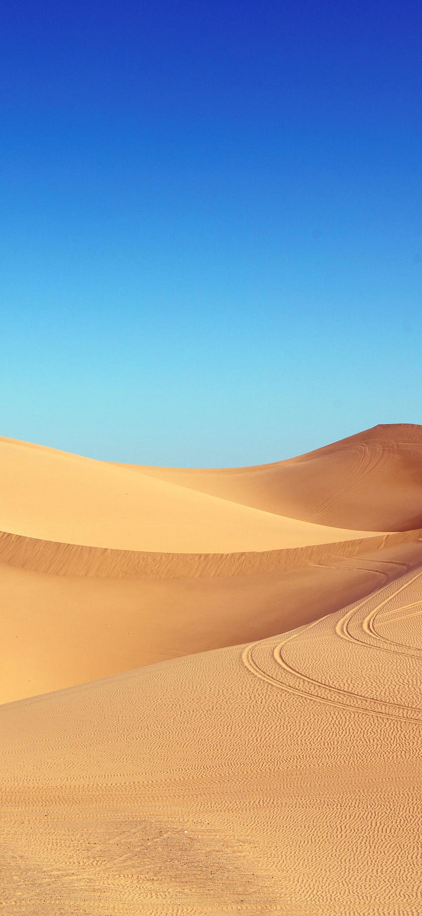 1125x2436 desierto del sahara, arena, horizonte limpio, cielo azul, dunas, iphone x 1125x2436, , 620 fondo de pantalla del teléfono