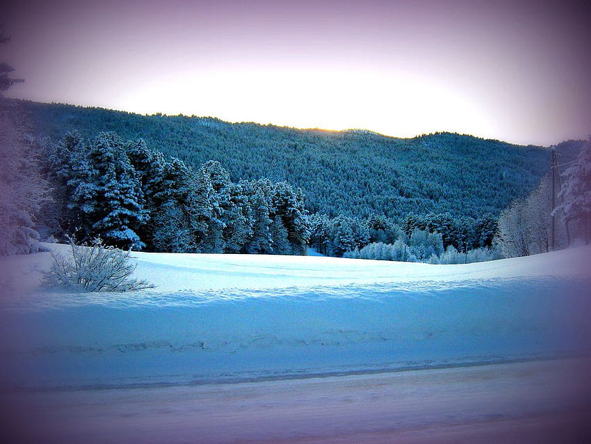 Noruega, Hovet, Winterscape, paisajes invernales fondo de pantalla