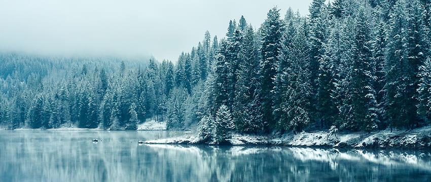 Kootenay nehri, kar yağışı, ağaç, doğa, kış , 2560x1080, Çift Geniş Ekran, Geniş Ekran, 2560x1080 kış HD duvar kağıdı