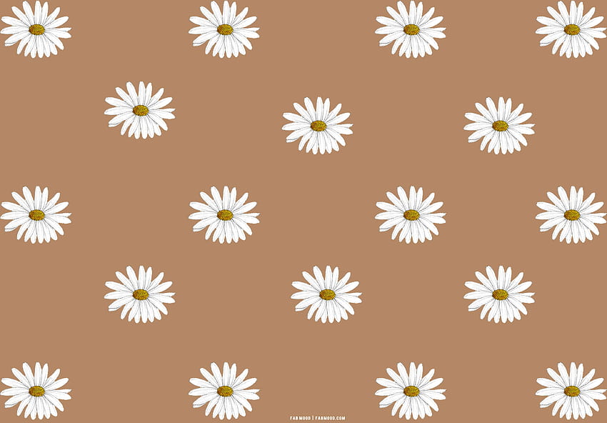 25 Brown Aesthetic สำหรับแล็ปท็อป : Daisy Daisy 1 สีน้ำตาลสวยงามน่ารัก วอลล์เปเปอร์ HD