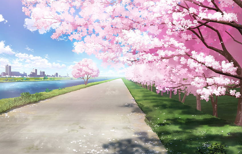 Spring Anime Giel 4K Wallpapers  HD Wallpapers  ID 30205