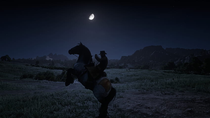 Decided to turn off the HUD and see if I could get some good shots in Red Dead Redemption 2. Go ahead and use these for or whatever, go nuts. HD wallpaper