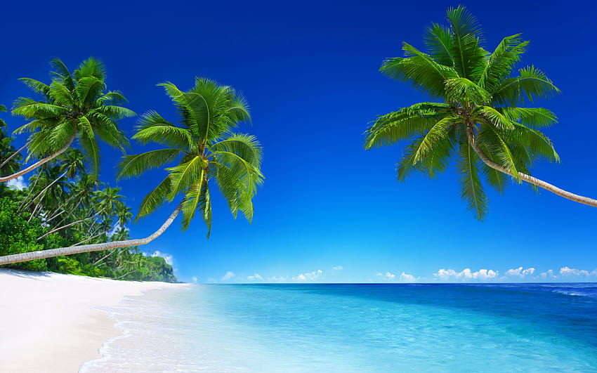 Tropical Beach Paradise, paisaje de playa fondo de pantalla