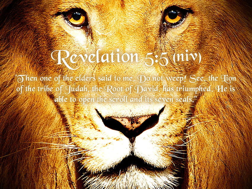 Bible Quotes From The Lion. QuotesGram, lion and the lamb HD wallpaper