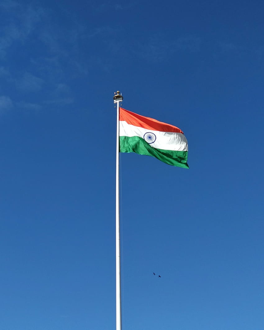 Hindistan bayrağının sığ odağı –, hint bayrağı dp HD telefon duvar kağıdı