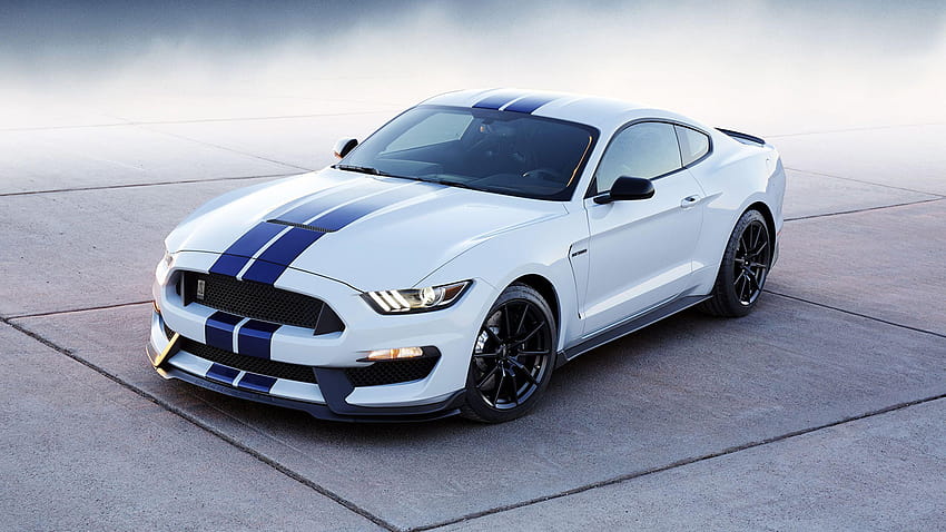 Ford Tuning 2015 Mustang Shelby GT350 White 2560x1440 HD wallpaper