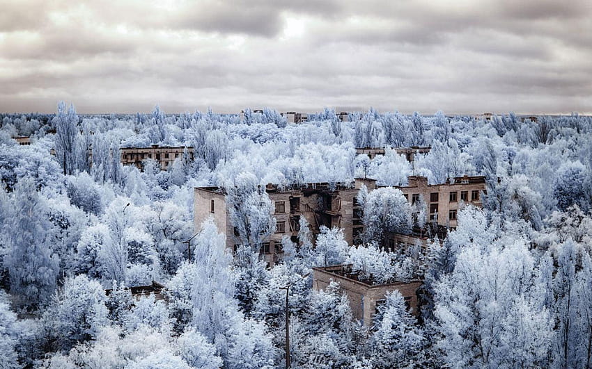 Gray painted buildings on forest, infrared, graphy, infrared winter HD wallpaper