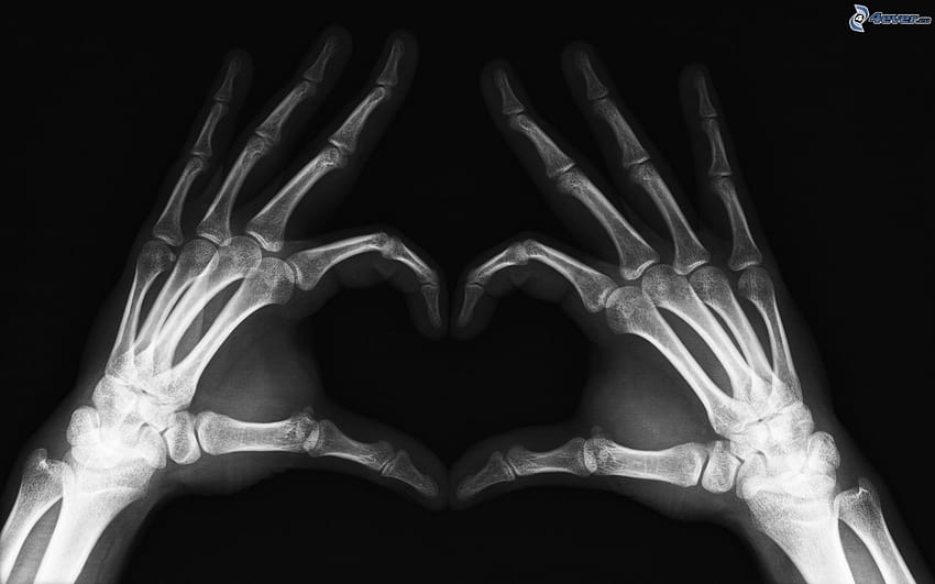 Coração das mãos, coração de esqueleto papel de parede HD