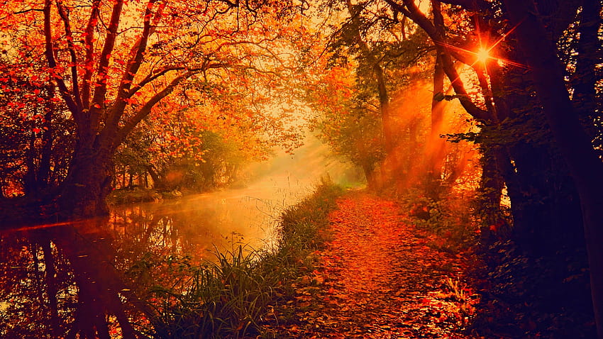 Trees, River, Sun Rays, Fall / and Mobile Backgrounds, river in autumn ...