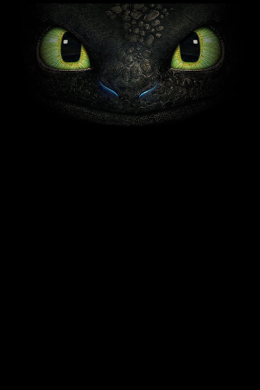 This is Toothless the Dragon from How To Train Your Dragon, ohnezahn HD phone wallpaper