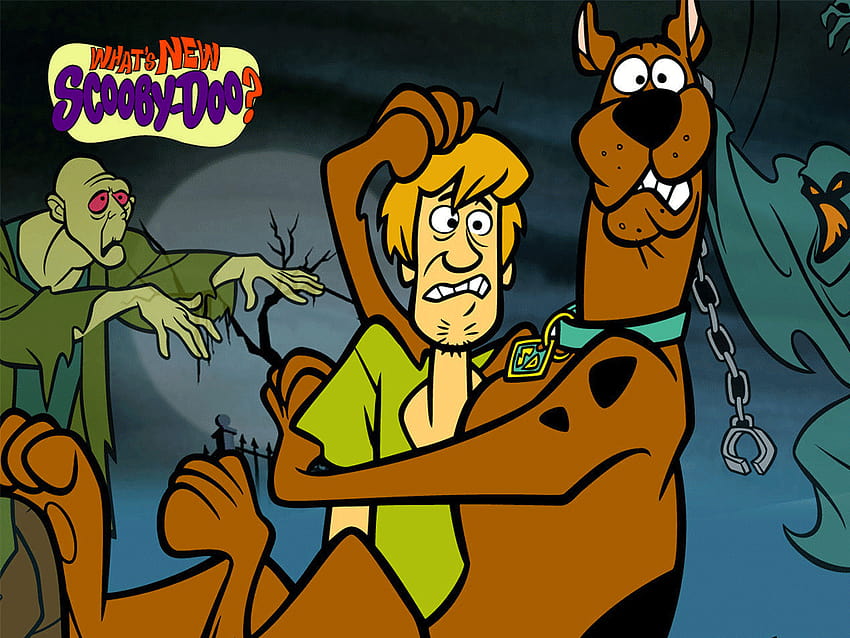1920x1080px, 1080P Free download | Are Scooby Doo and Shaggy Stoners ...