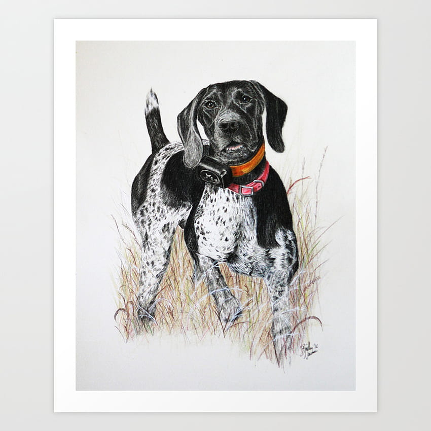 Black German Shorthaired Pointer Art Print by Briar Patch Portraits HD phone wallpaper