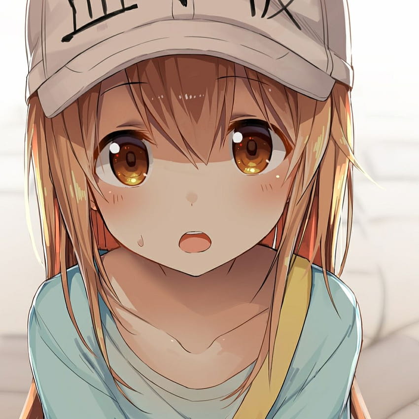 Steam Workshop :: Platelet Cells at work Anime [1920x1080], anime cells at work HD phone wallpaper