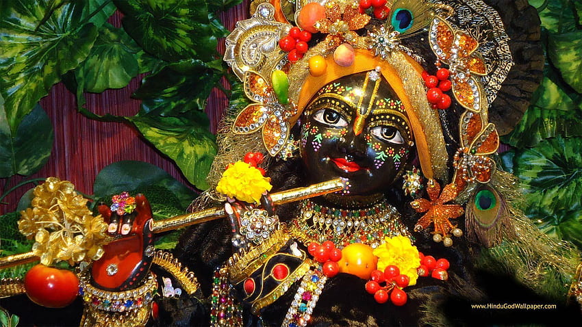 ISKCON Krishna in voller Größe HD-Hintergrundbild