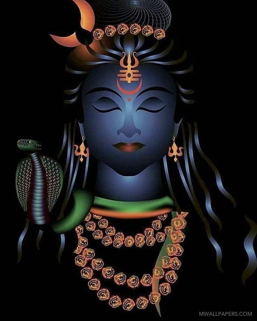 Shiv Parvati God iPhone Wallpaper  Wallpapers Download 2023