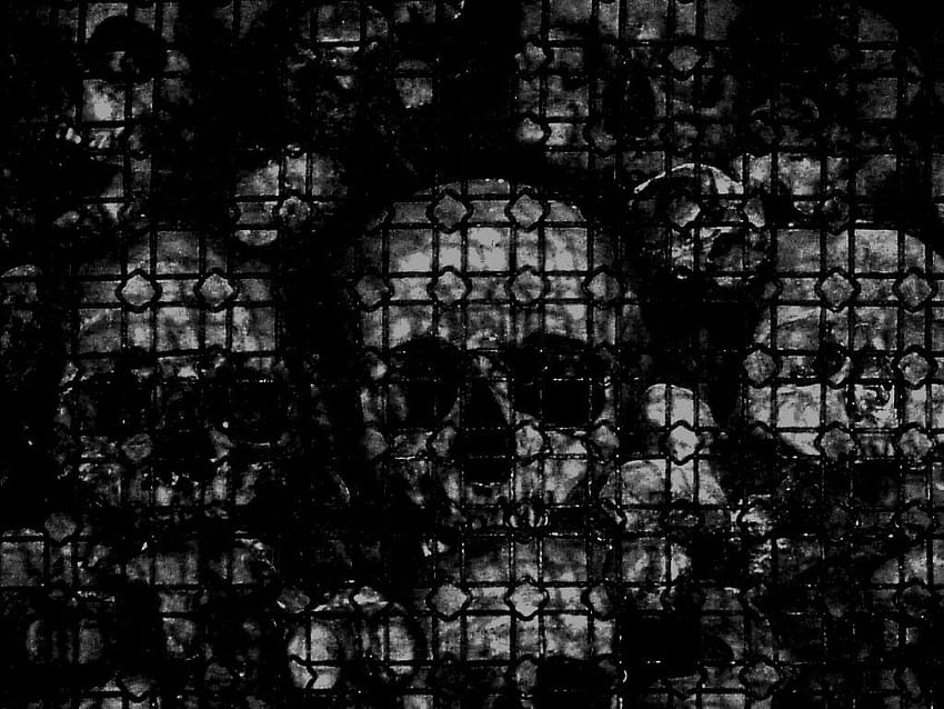 skull, background, texture, skulls texture backgrounds, background of skalls HD wallpaper