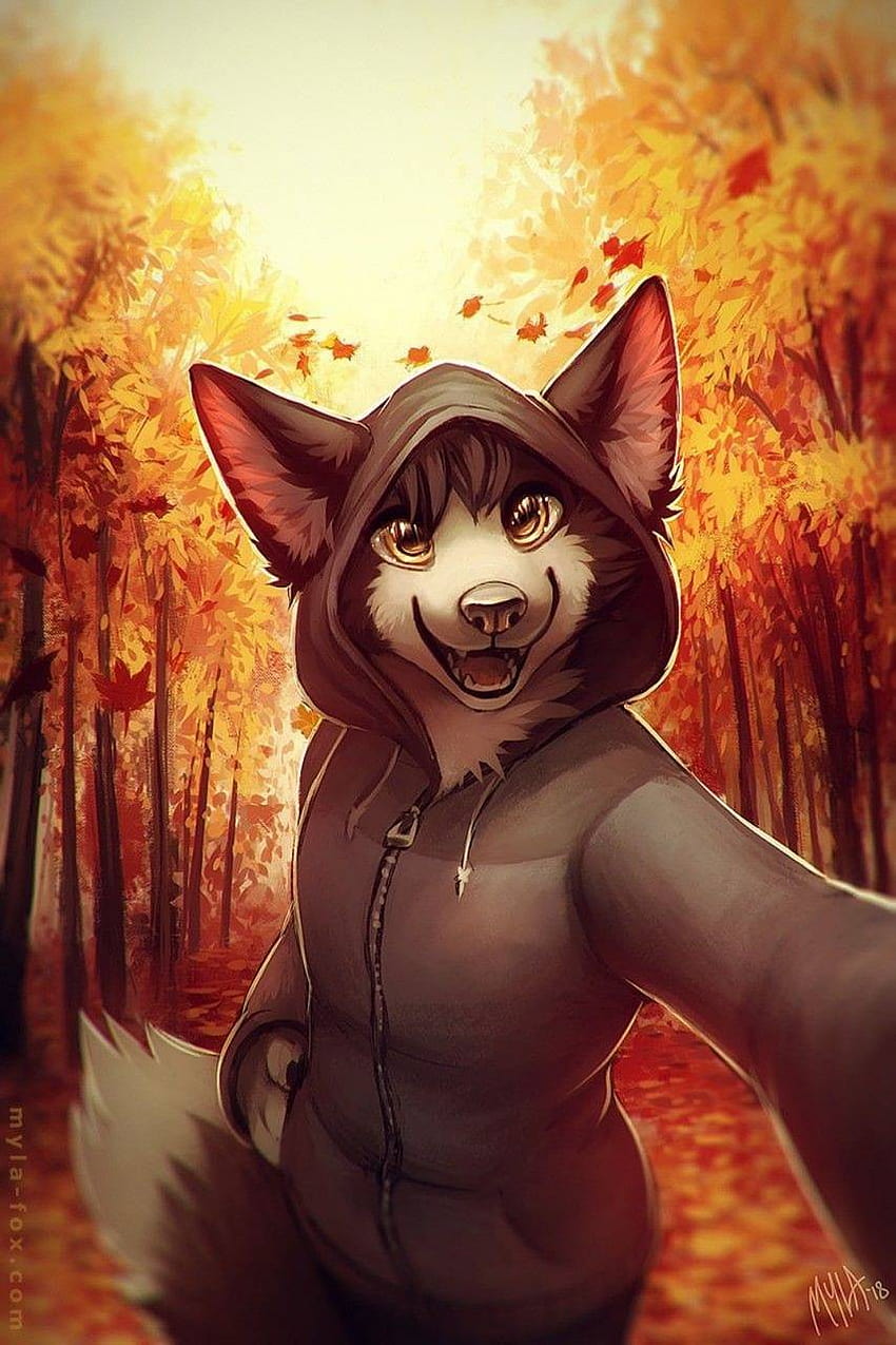 Furry Art posted by Christopher Anderson HD phone wallpaper