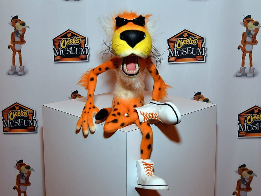 Things you didn't know about Cheetos, chester cheetah HD wallpaper