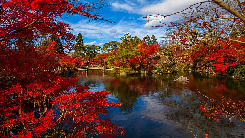 Japanese Autumn Lake Landscape HD wallpaper