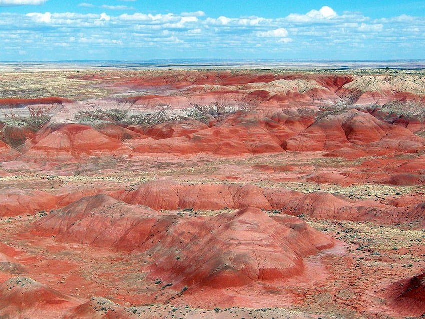 graphy interlude: More Arizona pics, petrified forest national park HD wallpaper