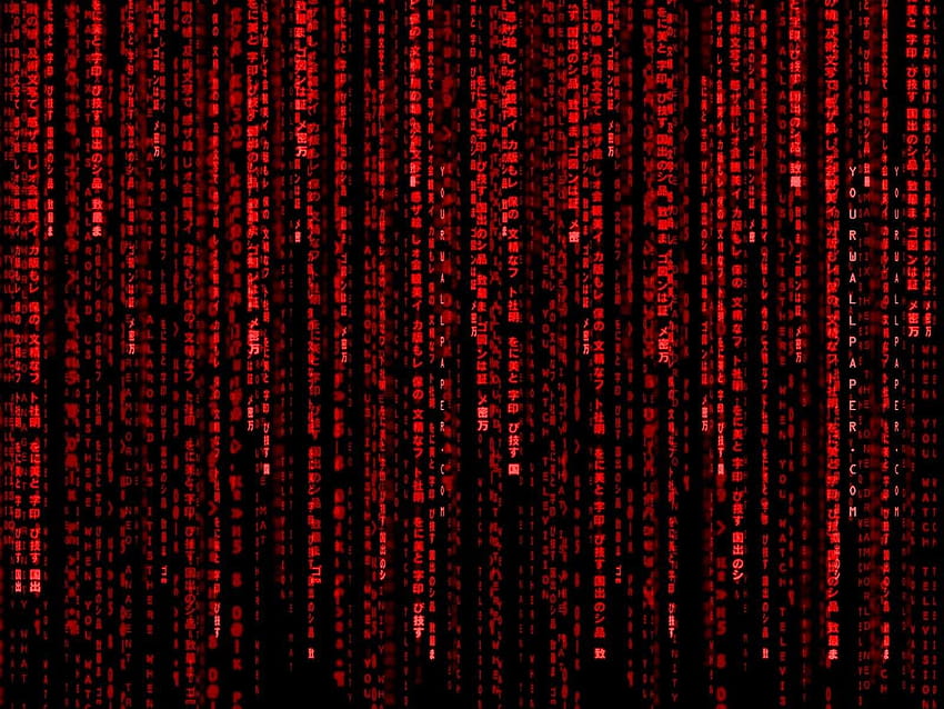 Red Hacker HD wallpaper