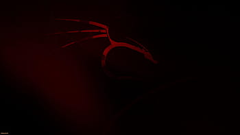 Kali Linux, offensive security HD wallpaper | Pxfuel