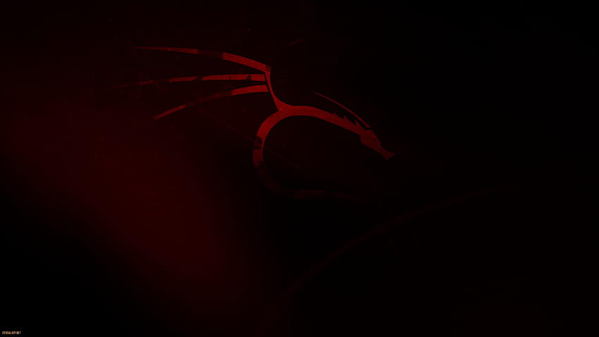 kali linux android HD wallpaper