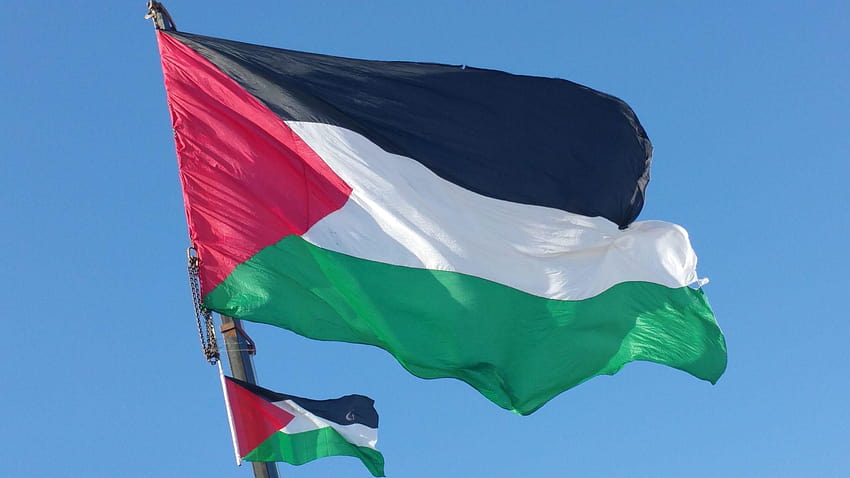 Bendera Palestina HD wallpaper