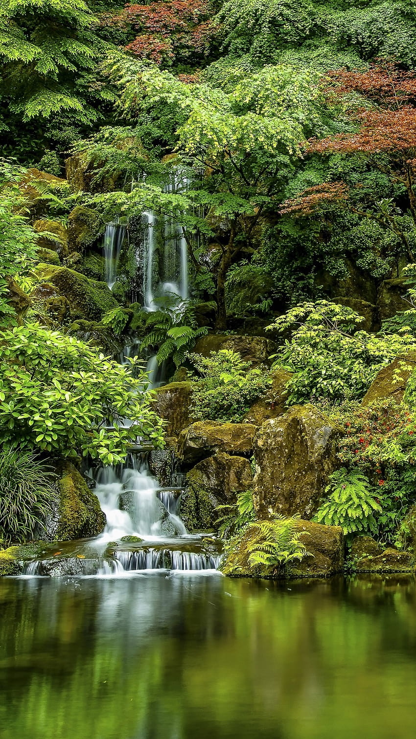 Japanese Gardens, trees, waterfall, Oregon, Portland, USA, japanese garden portland HD phone wallpaper